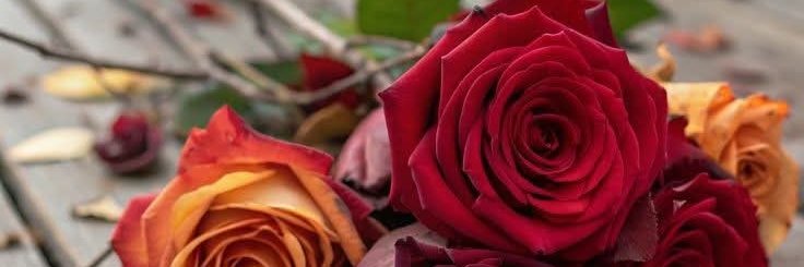 Basiaw89's profile banner image