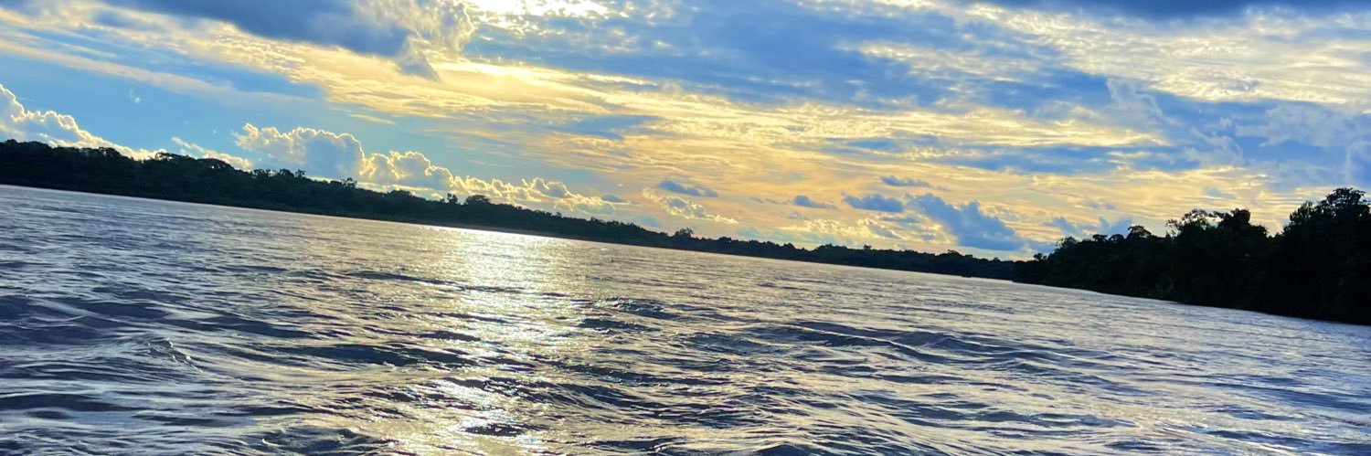 luann_aalves's profile banner image