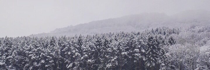 Im_Kozanowski's profile banner image