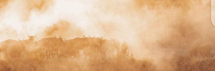 WillieNjeru's profile banner image