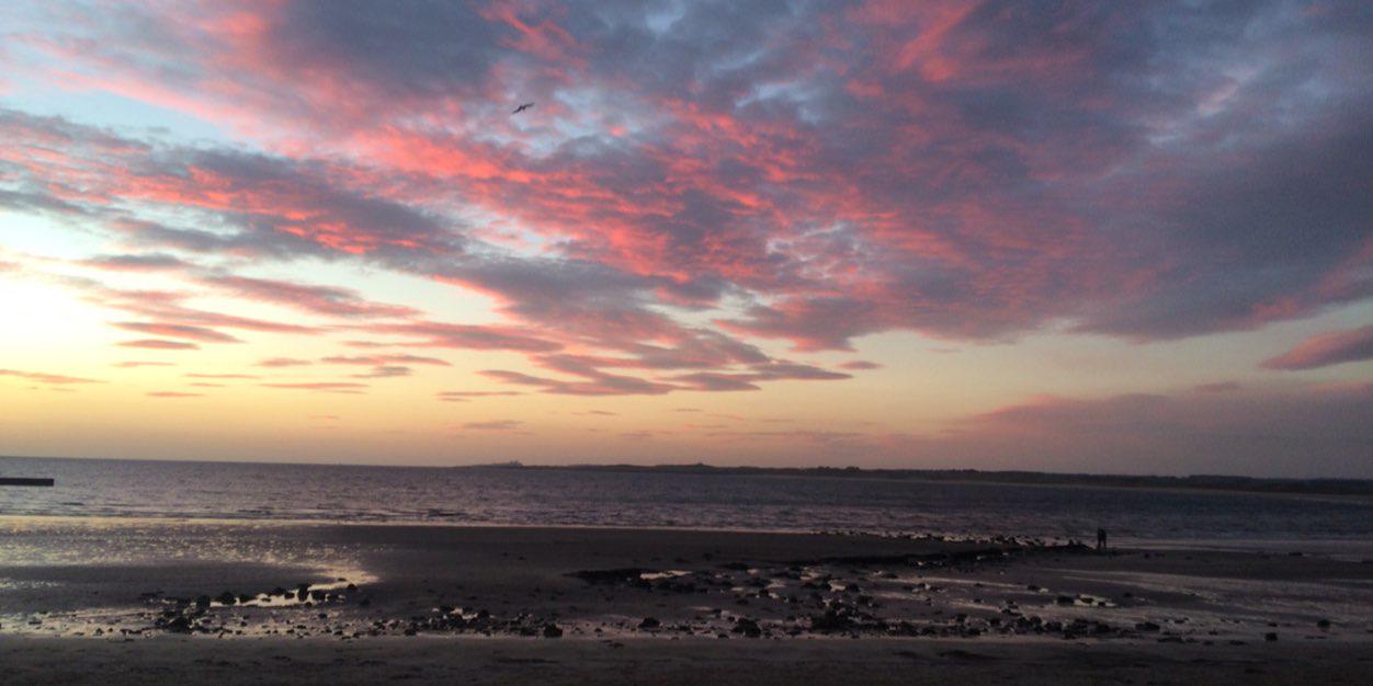 Teresa Thomas banner