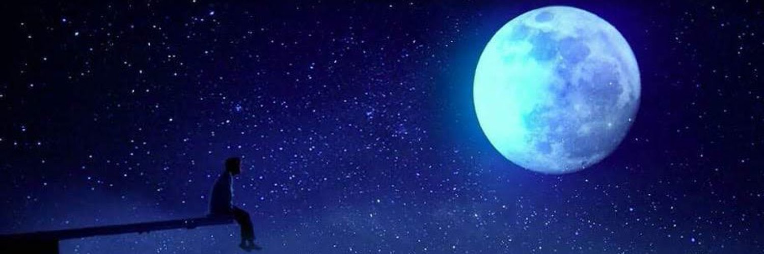 🌈 Ennik ⁷ Schnauzer🌈 banner