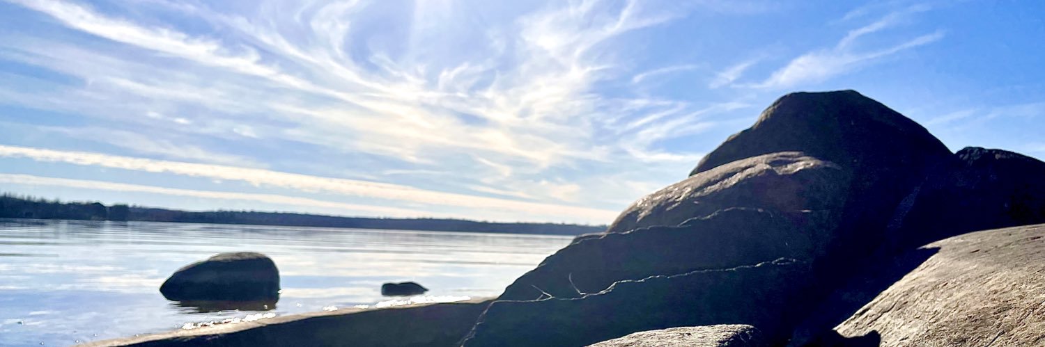 kari_toth's profile banner image