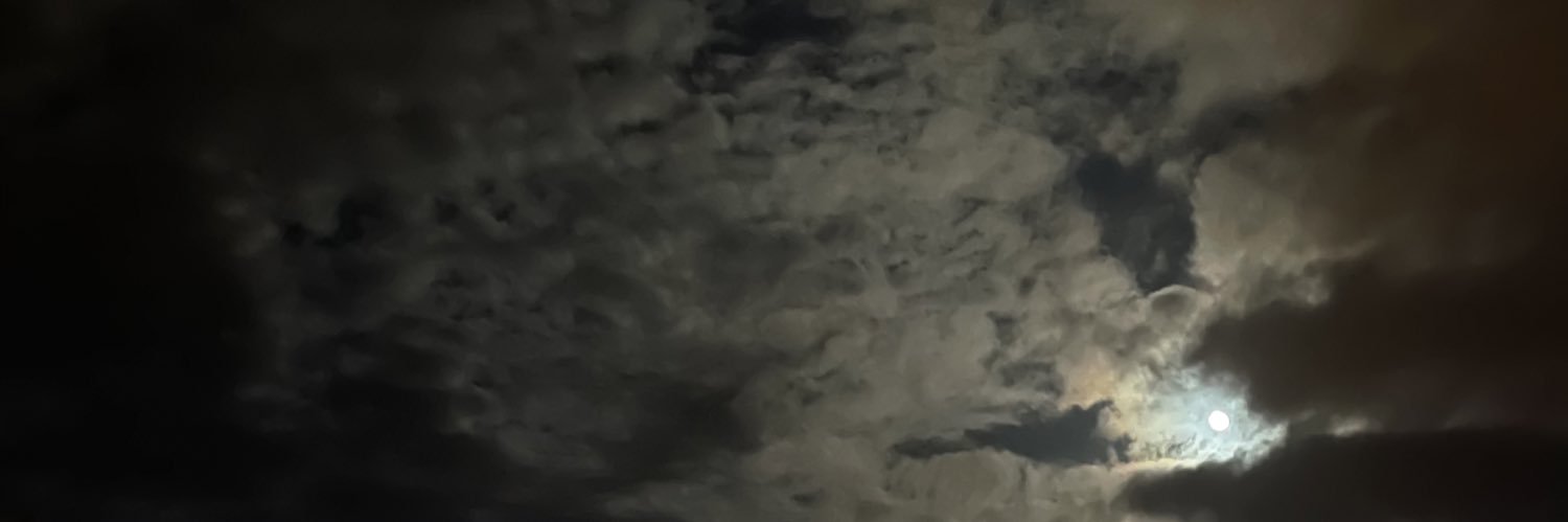 emaan_019's profile banner image
