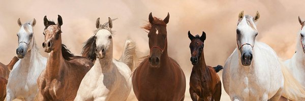 LuvinTrigger Profile Banner