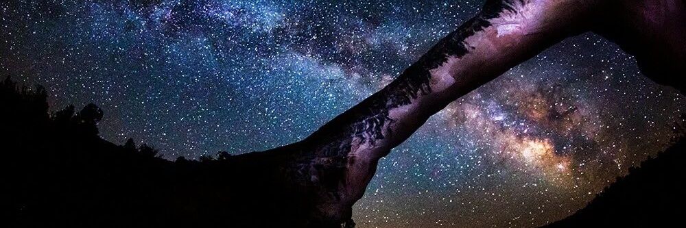 lup_o's profile banner image