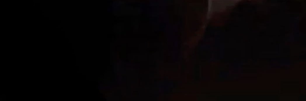 niki banner