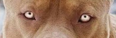 YucelInel's profile banner image