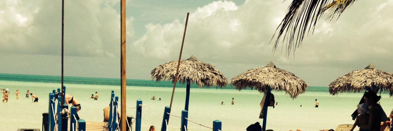 Jesslmcdonald's profile banner image