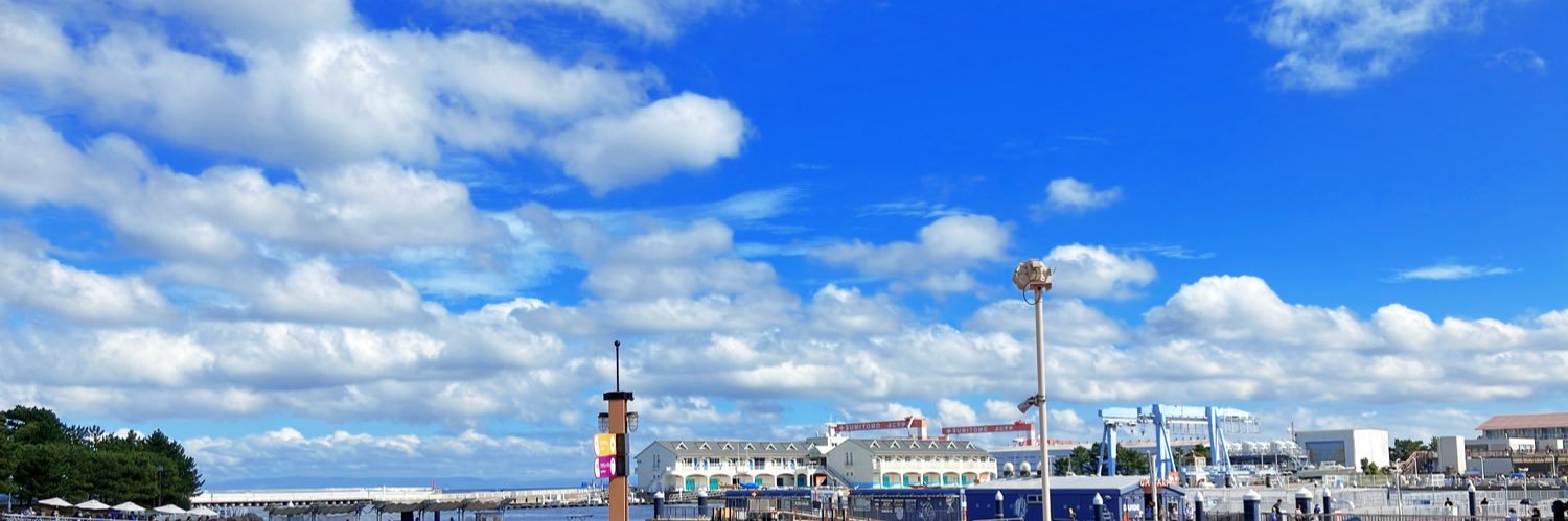 LSwijnruit's profile banner image