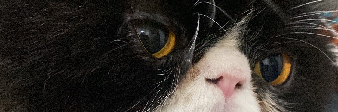 etiiboo's profile banner image