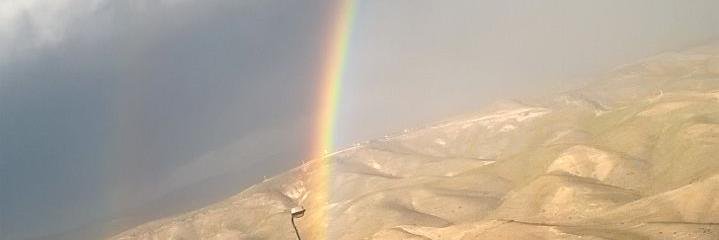 nukhattab's profile banner image