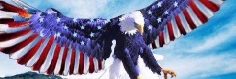 ChicsBeachMikeH's profile banner image