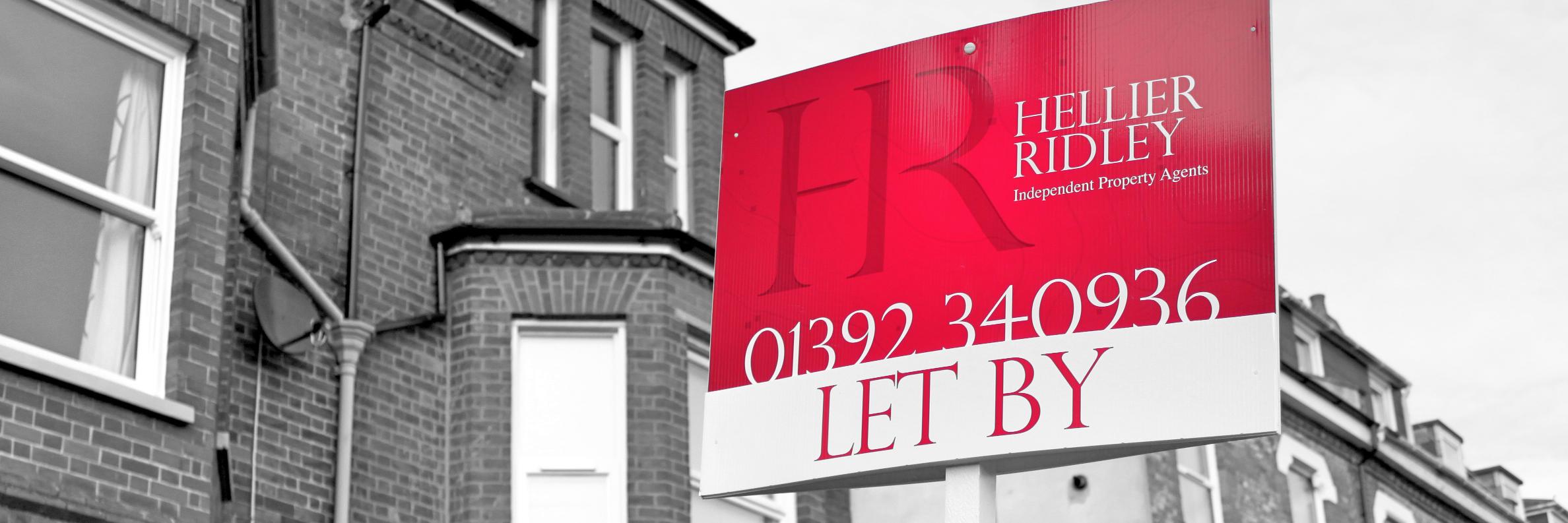 hellierridley's profile banner image