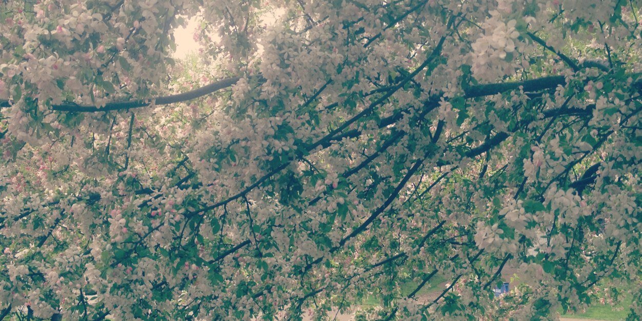 BeckyCarp's profile banner image