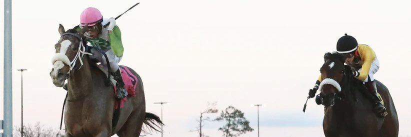 Stephen Thompson banner