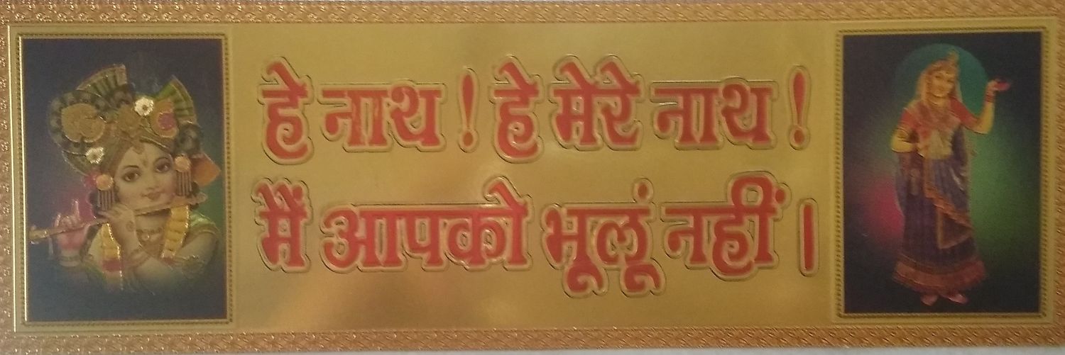 punitpradeep's profile banner image