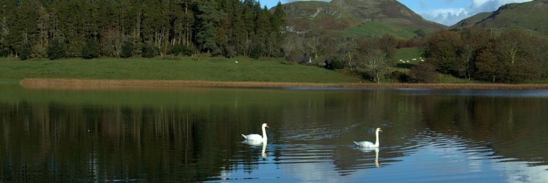 LeitrimTourismNet banner