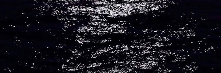 hloom2948's profile banner image