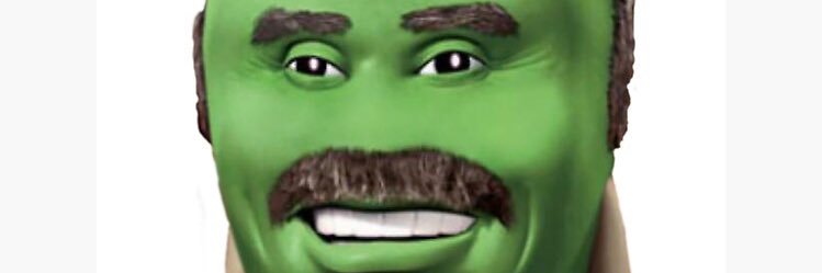rawrynips's profile banner image