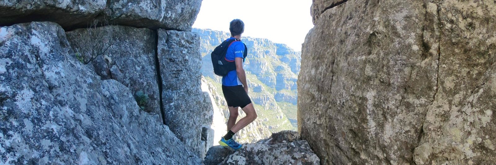 Andrew Houston banner