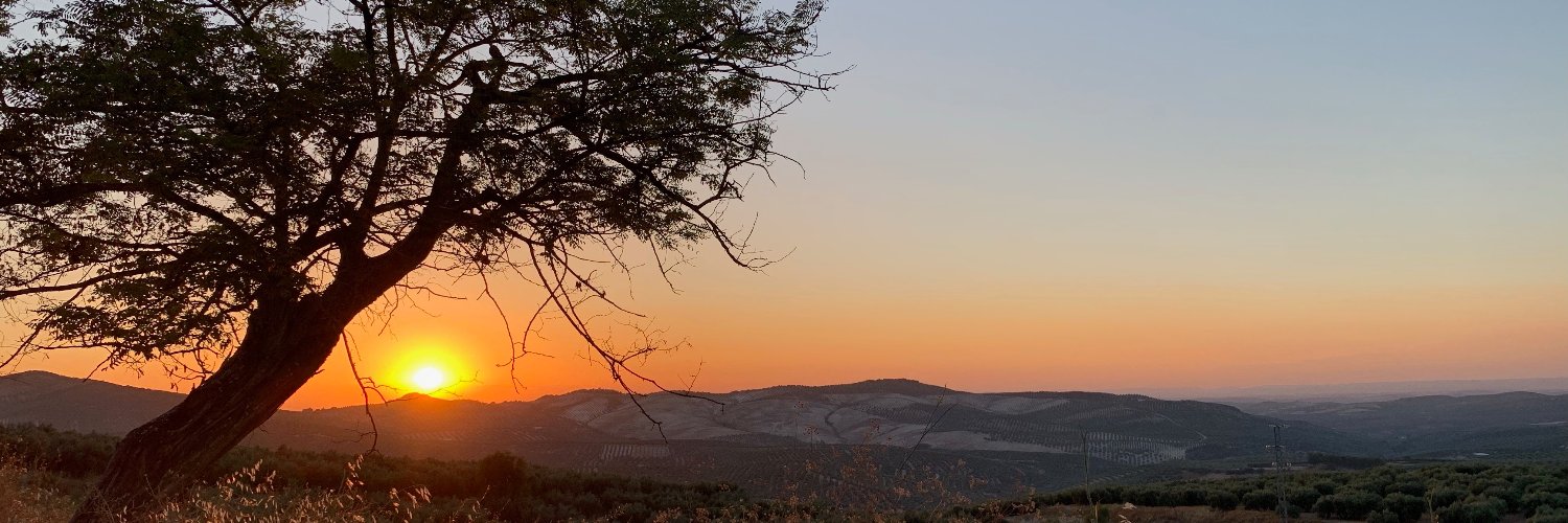 Angie_dlm's profile banner image