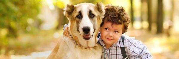 hawthornedc Profile Banner