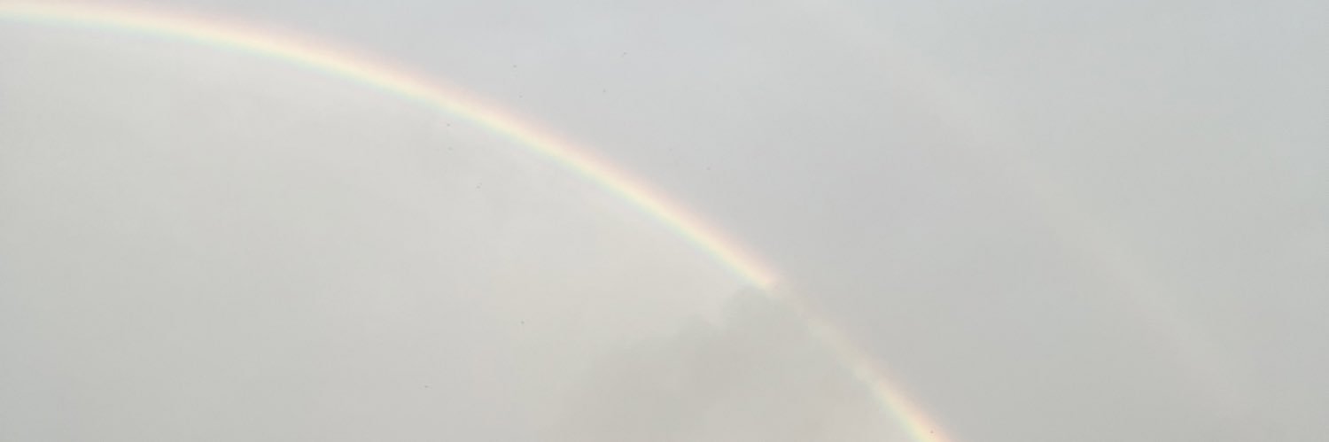 2jsbtoex_te's profile banner image