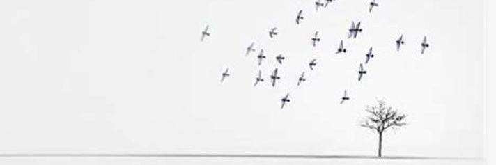 kw_fas0's profile banner image