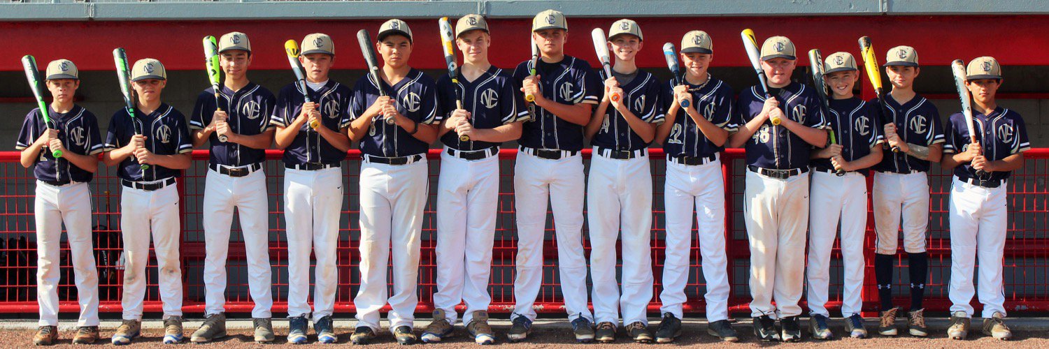 NextEraBaseball's profile banner image
