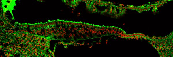 nishantprithvi Profile Banner