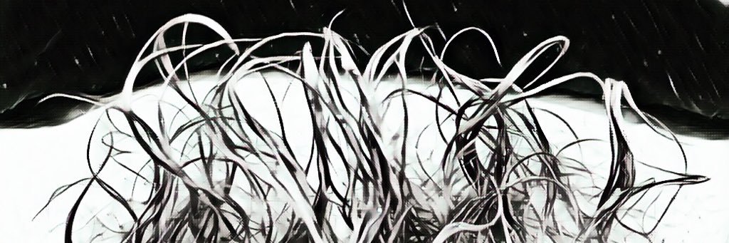 bahenolakut's profile banner image