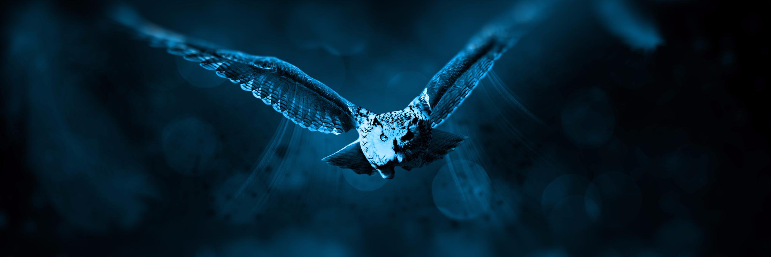 🌘🐦Iris Sin Habanero🐦🌘 banner