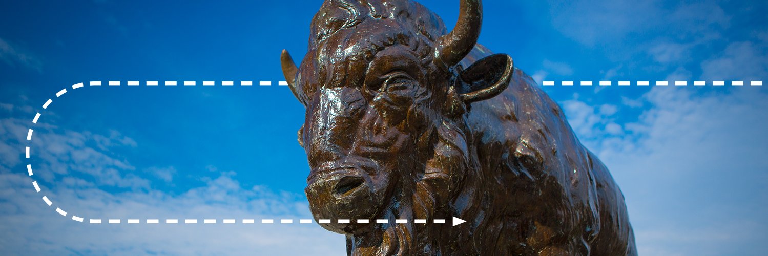 Professional MBA | UB School of Management banner