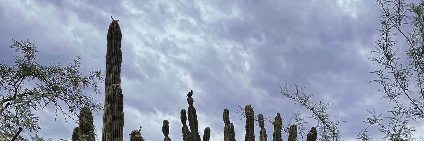 Ryan Hermansky banner