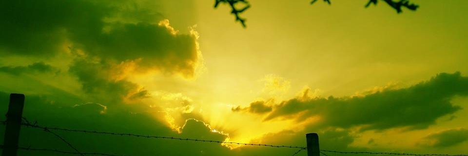 a_kayya's profile banner image