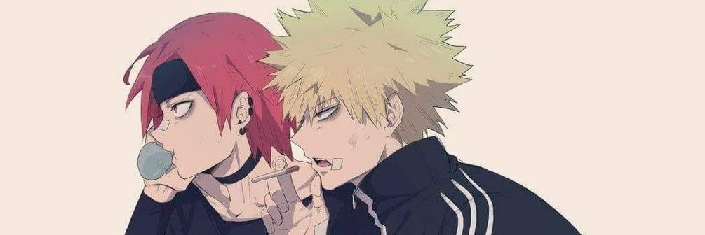 Notwitdashit's profile banner image