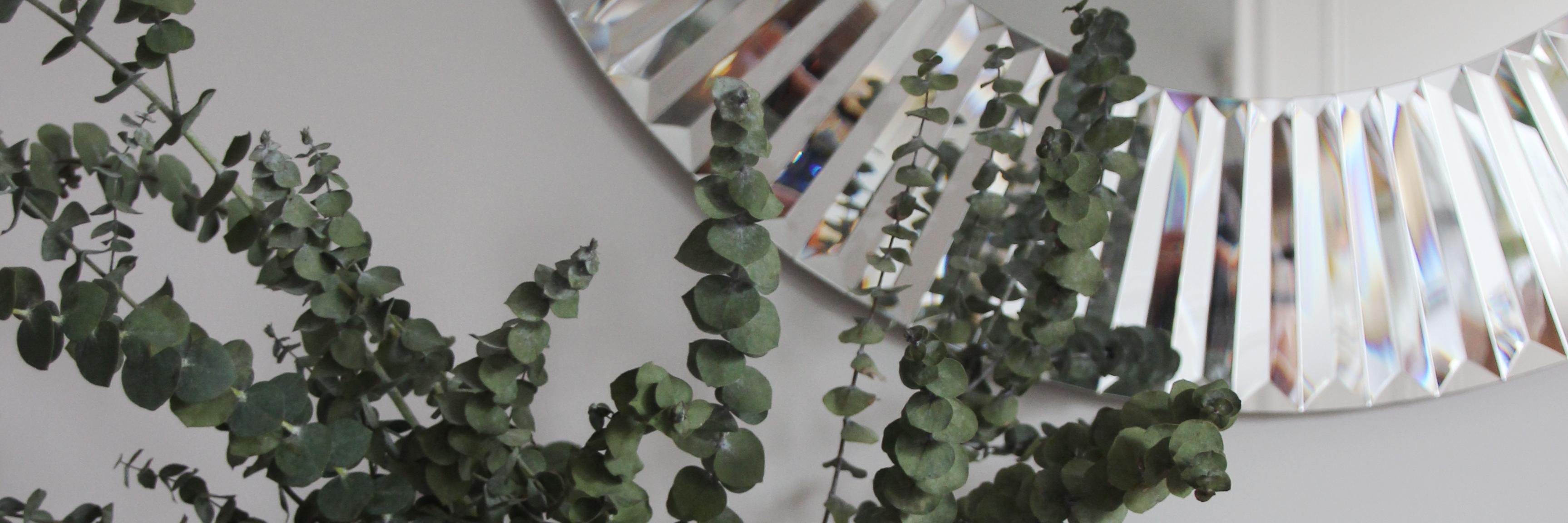 lauraGinteriors's profile banner image