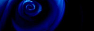 Bibi41980's profile banner image