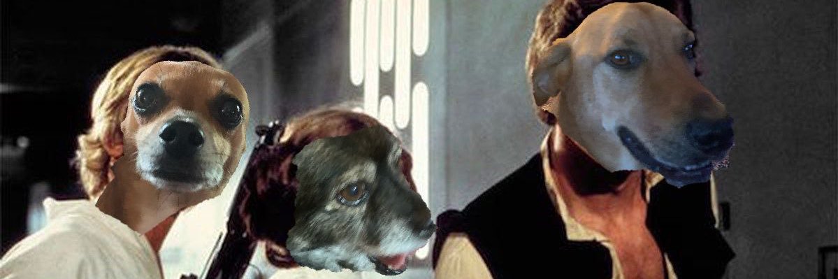 Max_Henk_'s profile banner image