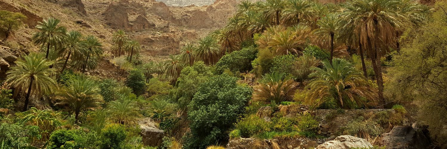 رادار الأقمار الصناعية للسحب banner