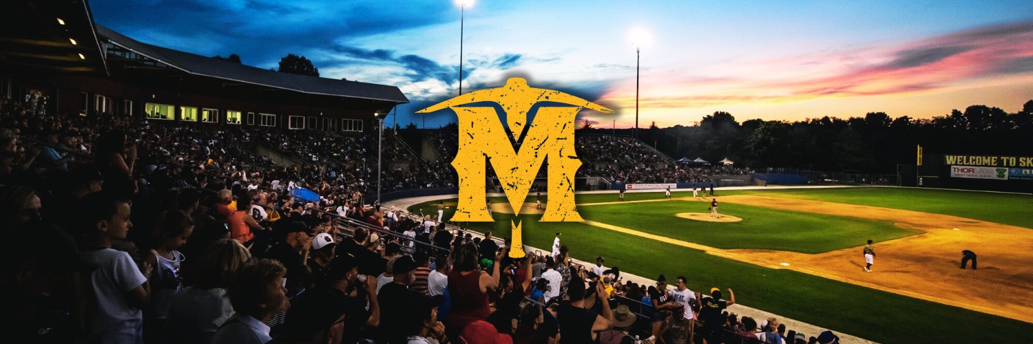 Sussex County Miners banner