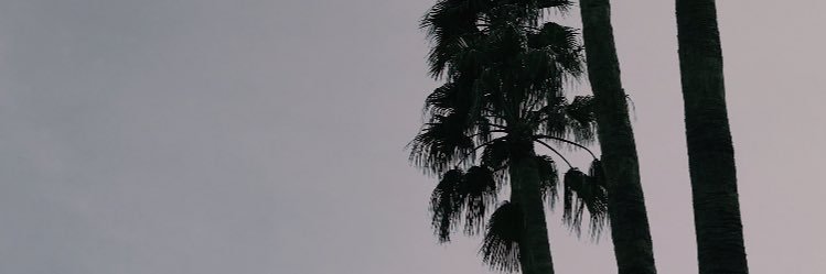 FreemanSiri's profile banner image