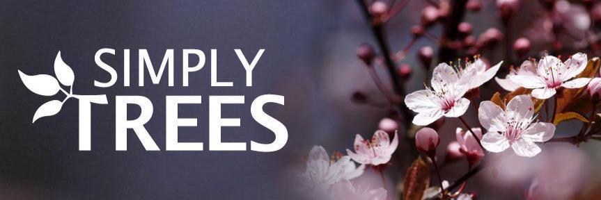 Simply Trees banner