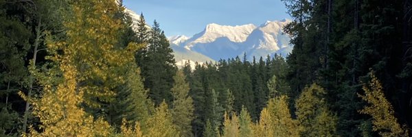 TRIinitiative Profile Banner