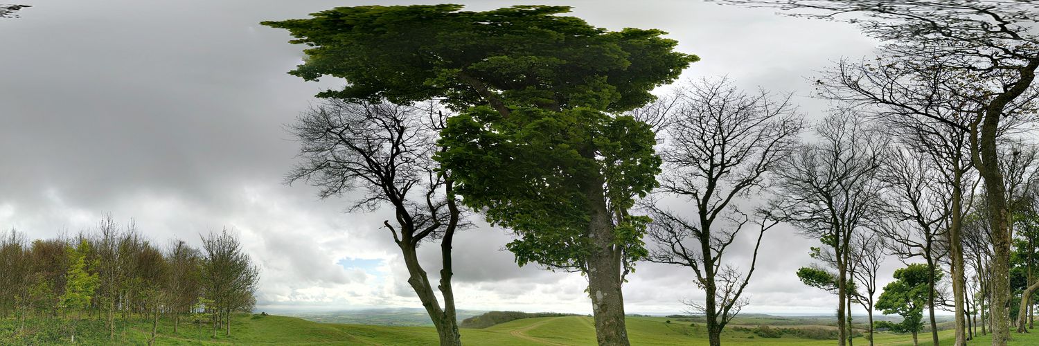 Simon Saunders banner