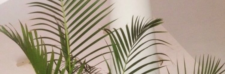 okay_cel's profile banner image