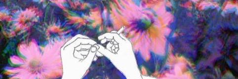 chay__fields's profile banner image
