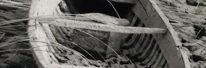 81_hz's profile banner image