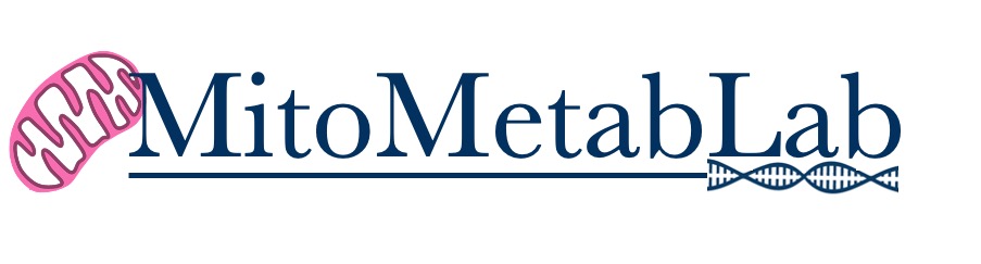 Mito Metab Lab banner